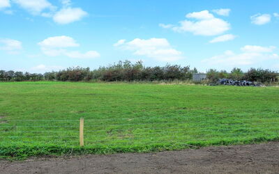Dolfine - 15Km from the Sea