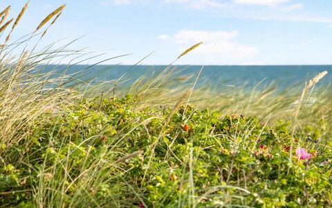 Ebba - 25M from the Sea: Woongebied, Dak, Voorstad, Oprit, Landgoed, Schoorsteen