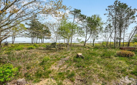 Angelita - 80M to the Fjord: Huis, Woongebied, Huis, Verblijf, Dak, Land Lot, Siding, Tuin, Landgoed, Gazon
