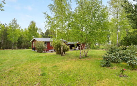 Blome - 150M to the Fjord: Gras, Grasland, Landschap, Ecoregio, Plain, Plantengemeenschap, Land Lot, Buitenmeubels, Prairie, Shrubland