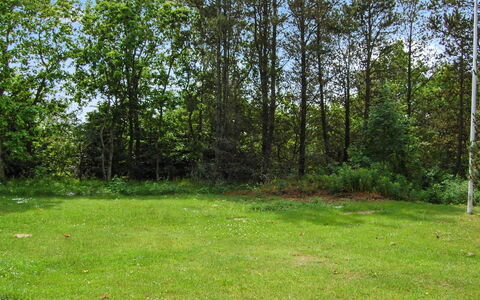 Annlouise - 300M from the Sea: Blad, Gras, Boom, Groen, Natuurlijke Omgeving, Grasland, Struik, Land Lot, Trunk