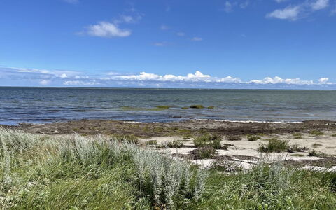 Desche - 300M from the Sea: Zwembad, Buitenmeubels, Meubilair, Toevlucht, Flagstone, Eco Hotel, Schaduw, Stoel, Vrije Tijd, Landgoed