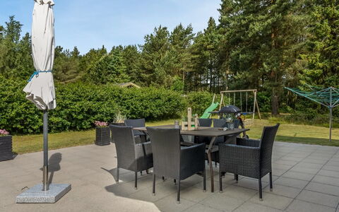 Coco - 200M from the Sea: Plantengemeenschap, Zonlicht, Kruidachtige Plant, Tuin, Plantage, Landbouw, Boerderij