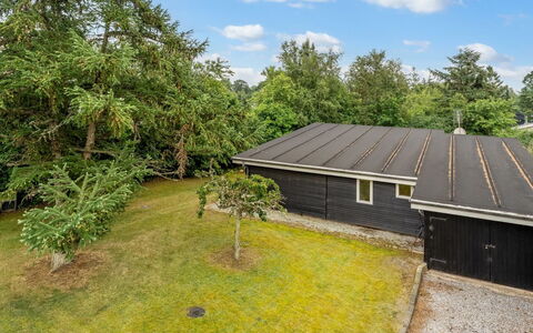 Raya - 250M from the Sea: Gras, Struik, Huis, Landelijk Gebied, Groundcover, Verblijf, Tuin, Gazon, Schaduw, Backyard