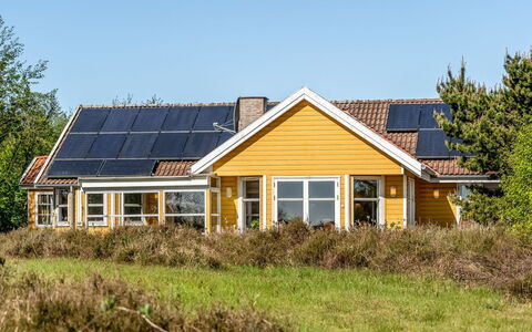 Annestine - 200M from the Sea: Plantengemeenschap, Zonlicht, Kruidachtige Plant, Tuin, Plantage, Landbouw, Boerderij