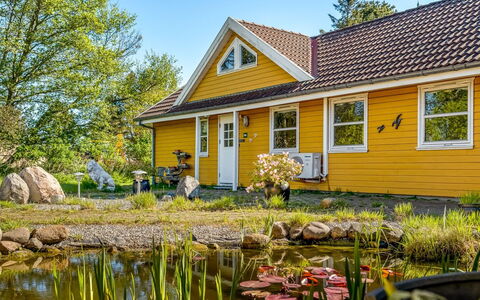 Annestine - 200M from the Sea: Plantengemeenschap, Zonlicht, Kruidachtige Plant, Tuin, Plantage, Landbouw, Boerderij