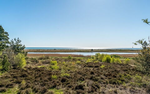 Annestine - 200M from the Sea: Plantengemeenschap, Zonlicht, Kruidachtige Plant, Tuin, Plantage, Landbouw, Boerderij