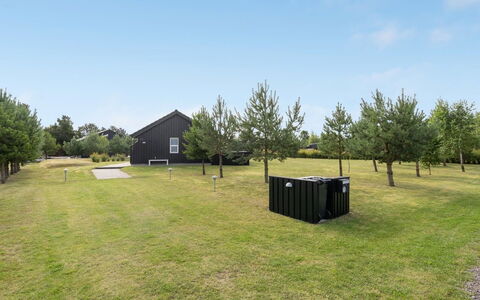 Thure - 1Km from the Sea: Plantengemeenschap, Zonlicht, Kruidachtige Plant, Tuin, Plantage, Landbouw, Boerderij
