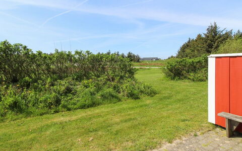 Hariett - 900M from the Sea: Gras, Groen, Grasland, Struik, Land Lot, Plain, Landelijk Gebied, Groundcover