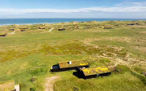 Aatu - 360M from the Sea: Gras, Grasland, Ecoregio, Pasture, Landschap, Plain, Land Lot, Weide, Landelijk Gebied, Prairie