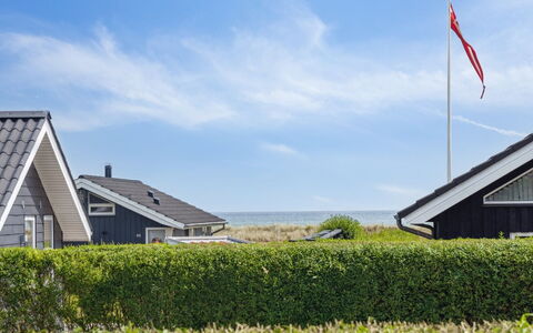 Gertrud - from the Sea: Plantengemeenschap, Zonlicht, Kruidachtige Plant, Tuin, Plantage, Landbouw, Boerderij