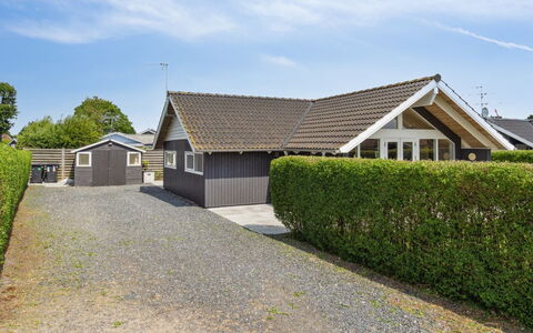 Gertrud - from the Sea: Plantengemeenschap, Zonlicht, Kruidachtige Plant, Tuin, Plantage, Landbouw, Boerderij