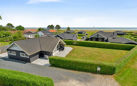 Gertrud - from the Sea: Plantengemeenschap, Zonlicht, Kruidachtige Plant, Tuin, Plantage, Landbouw, Boerderij