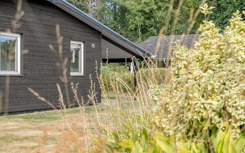 Sveina - 600M from the Sea: Huis, Struik, Huis, Verblijf, Siding, Groundcover, Garden Gebouwen, Tuin, Backyard, Werf