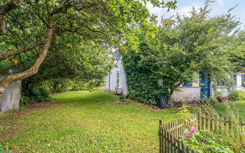 Agrippa - 30M to the Fjord: Afdeling, Struik, Tuin, Verblijf, Takje, Groundcover, Gazon, Zonlicht, Backyard, Werf