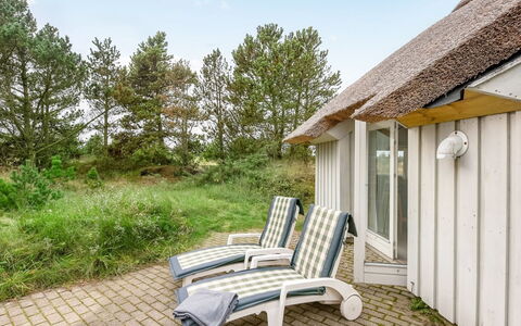 Catarine - 1.1Km from the Sea: Blauw, Struik, Verblijf, Groundcover, Tuin, Landgoed, Schaduw, Landscaping, Boerderij, Eco Hotel
