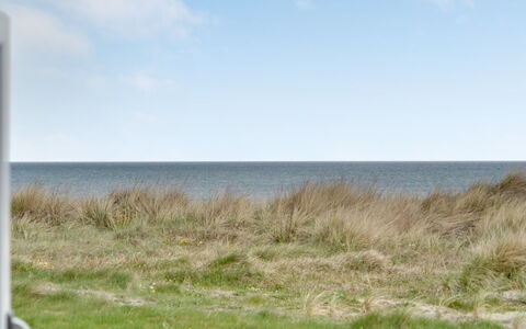 Adina - 50M from the Sea: Plantengemeenschap, Zonlicht, Kruidachtige Plant, Tuin, Plantage, Landbouw, Boerderij