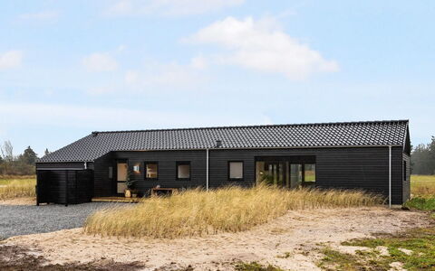 Sasja - 1.5Km from the Sea: Plantengemeenschap, Zonlicht, Kruidachtige Plant, Tuin, Plantage, Landbouw, Boerderij
