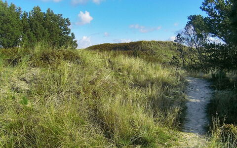 Lewe - 150M from the Sea: Blauw, Struik, Verblijf, Groundcover, Tuin, Landgoed, Schaduw, Landscaping, Boerderij, Eco Hotel