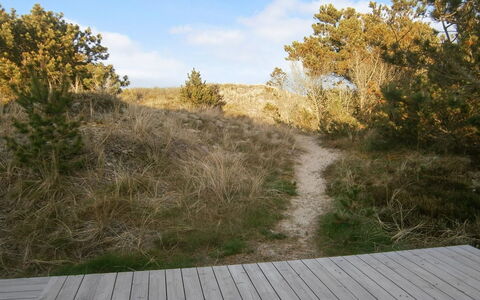Lewe - 150M from the Sea: Blauw, Struik, Verblijf, Groundcover, Tuin, Landgoed, Schaduw, Landscaping, Boerderij, Eco Hotel