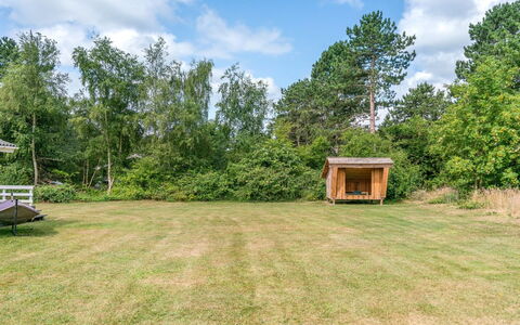 Giertrud - 500M from the Sea: Gras, Boom, Struik, Land Lot, Grasland, Plain, Landelijk Gebied, Tuin, Weide