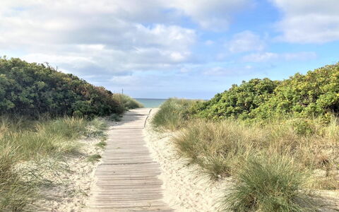 Kustaa - 1Km from the Sea: Gras, Grasland, Landschap, Ecoregio, Plain, Plantengemeenschap, Land Lot, Buitenmeubels, Prairie, Shrubland