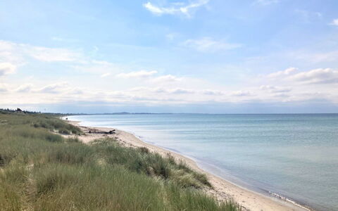 Kustaa - 1Km from the Sea: Gras, Grasland, Landschap, Ecoregio, Plain, Plantengemeenschap, Land Lot, Buitenmeubels, Prairie, Shrubland