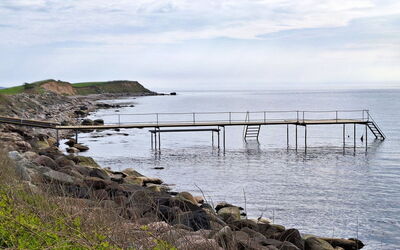 Faina - 100M from the Sea