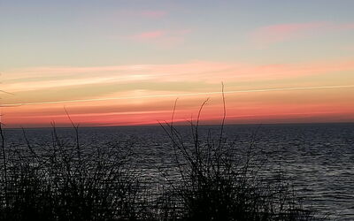 Faina - 100M from the Sea