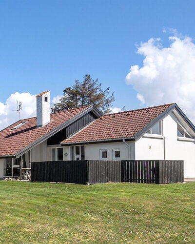 Faina - 100M from the Sea