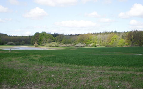 Thia - 4Km to the Fjord: Woongebied, Dak, Voorstad, Oprit, Landgoed, Schoorsteen