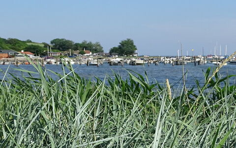 Veselin - 100M from the Sea: Hout, Dak, Architectuur, Huis, Huis, Verblijf, Siding, Hardwood, Helling, Landgoed