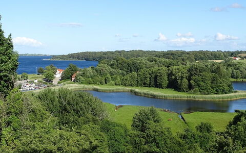 Veselin - 100M from the Sea: Hout, Dak, Architectuur, Huis, Huis, Verblijf, Siding, Hardwood, Helling, Landgoed
