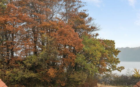 Babette - 75M to the Fjord: Huis, Huis, Dak, Woongebied, Verblijf, Landgoed, Boerderij, Gazon, Landscaping, Siding