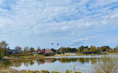 Athisl - 800M from the Sea: Water, Watervoorraden, Natuurlijke Omgeving, Natuur, Natuurlijk Landschap, Bank, Waterloop, Moeras, Reflectie