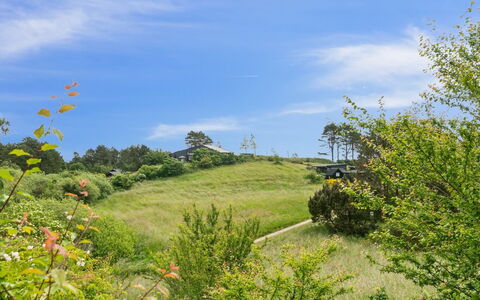 Arntraud - 250M from the Sea: Gras, Grasland, Land Lot, Verblijf, Landelijk Gebied, Weide, Garden Gebouwen, Tuin, Schuur