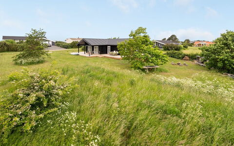 Siebelt - 200M from the Sea: Groen, Gras, Vegetation, Grasland, Struik, Land Lot, Plantengemeenschap, Landelijk Gebied, Groundcover