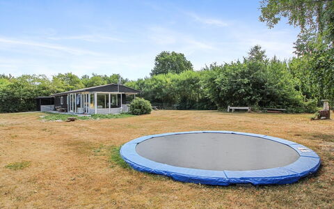Eldina - 100M from the Sea: Boom, Gras, Trampoline, Trampolinespringen - Materialen En Benodigdheden, Landschap, Land Lot, Plain, Tuin, Schaduw