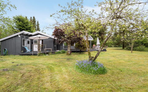 Syrina: Dak, Huis, Huis, Verblijf, Siding, Landgoed, Oprit, Garden Gebouwen, Werf, Schuur