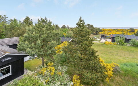 Jaskirt - 125M from the Sea: Groen, Vegetation, Struik, Plantengemeenschap, Land Lot, Groundcover, Tuin, Weide, Landscaping