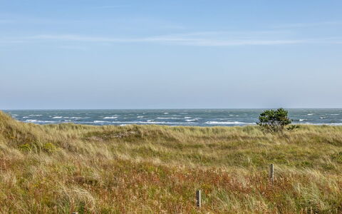 Jenson - 75M from the Sea: Sneeuw, Winter, Hout, Verblijf, Huis, Dak, Hut, Huis, Freezing, Blokhut