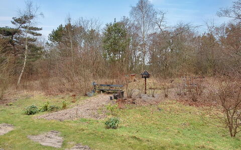 Enni - 100M from the Sea: Gras, Struik, Land Lot, Plantengemeenschap, Bodem, Trail, Bos, Shrubland