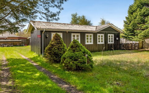 Ingobert - 50M from the Sea: Gras, Grasland, Landschap, Ecoregio, Plain, Plantengemeenschap, Land Lot, Buitenmeubels, Prairie, Shrubland