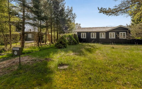 Ingobert - 50M from the Sea: Gras, Grasland, Landschap, Ecoregio, Plain, Plantengemeenschap, Land Lot, Buitenmeubels, Prairie, Shrubland