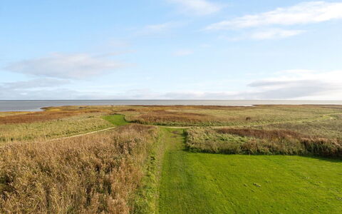 Gisa - from the Sea: Gras, Grasland, Landschap, Ecoregio, Plain, Plantengemeenschap, Land Lot, Buitenmeubels, Prairie, Shrubland