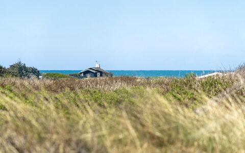 Gila - 250M from the Sea: Flooring, Muur, Verdieping, Interieur Ontwerp, Hout, Plafond, Houten Vloer, Verlichting, Meubilair, Laminaatvloer