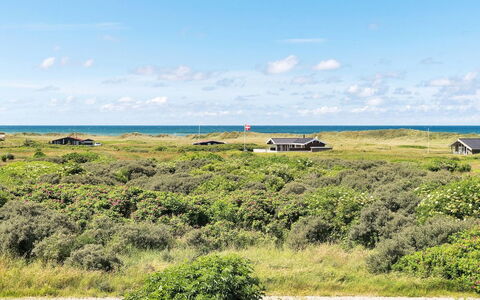 Elvie - 200M from the Sea: Blauw, Lucht, Gras, Grasland, Ecoregio, Horizon, Plain, Land Lot, Landschap, Plantengemeenschap