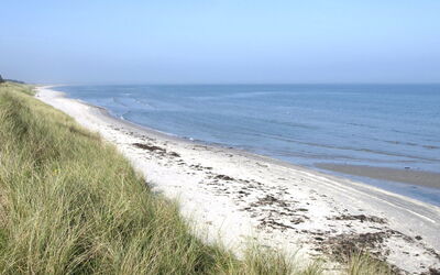 Jonce - 400M from the Sea