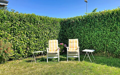 Dorenavant: Struik, Haag, Tuin, Schaduw, Plantage, Kruid, Evergreen