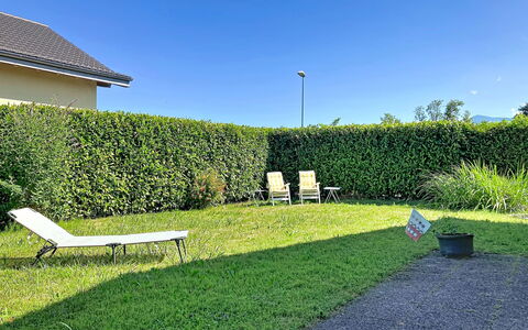 Dorenavant: Groen, Gras, Struik, Haag, Tuin, Schaduw, Groundcover, Gazon, Werf